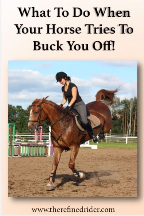 Horseback Riding Tips, Horse Exercises, Horse Info, Horse Riding Tips, Equestrian Helmet, Horse Training Tips, Riding Lessons, Horse Tips, English Riding