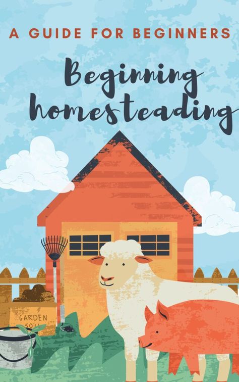 Beginning homesteading: A guide for beginners - The Domestic Geek Blog Domestic Geek, Preserve Food, Small Vegetable Gardens, Everyone Makes Mistakes, Learn From Your Mistakes, Starting A Garden, Navigating Life, Grow Your Own Food, Preserving Food