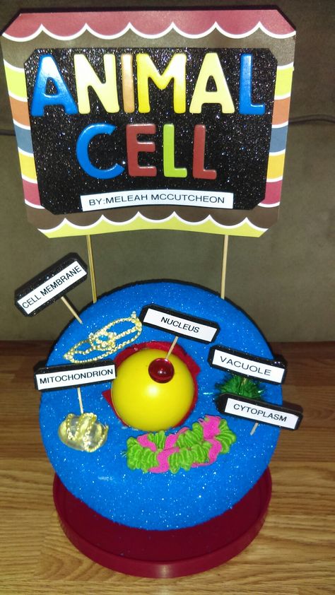 Animal cell with 5 organelles 5th grade project. Animal Cell Project Ideas, Cell Project Ideas, Animal Cell Activity, Christmas Reading Activities, Teaching Cells, Cell Model Project, Animal Cell Project, Bio Project, Cell Project