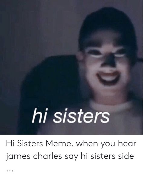 Charles Meme, Sister Meme, Hi Sisters, Hey Sisters, James Charles, Funny Relatable Quotes, Say Hi, Relatable Quotes, Funny Pictures