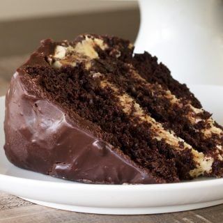 Malt Cake, Chocolate Malt Cake, Chocolate Smores, Smores Cake, Layer Cake Recipes, Chocolate Malt, Rich Chocolate Cake, Tasty Kitchen, Recipe Community