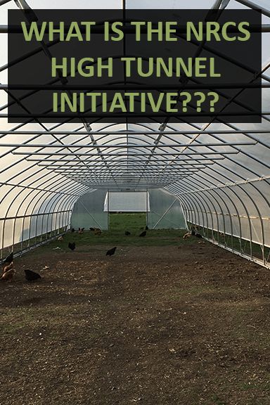 High Tunnel Chicken Coop, High Tunnel Diy, High Tunnel Greenhouse How To Build, Diy High Tunnel, Garden High Tunnels, High Tunnel Gardening, Desert Permaculture, High Tunnel Greenhouse, Tunnel Garden