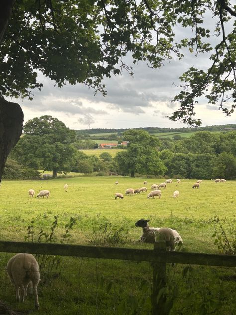 Pretty Countryside Aesthetic, French Farm Aesthetic, English Countryside Aesthetic Summer, English Spring Aesthetic, English Cottagecore Aesthetic, British Countryside Bedroom, English Countryside Spring, Ireland Countryside Aesthetic, Irish Cottage Aesthetic