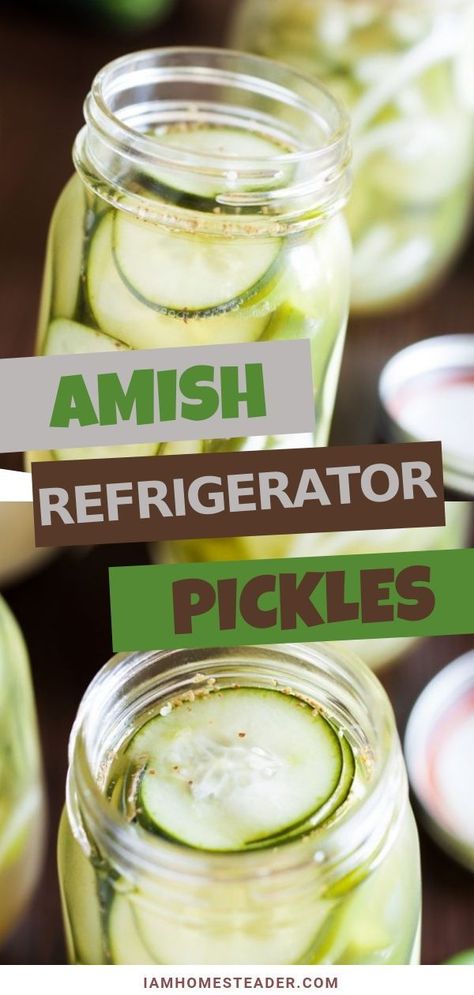 A side dish recipe handed down from grandma! Made with cucumbers, peppers, onions and celery seed, these easy refrigerator pickles are soaked with vinegar, salt, and white sugar.  Try this homemade Amish Refrigerator Pickles for family dinners! Easy Refrigerator Pickles, Refrigerator Pickle Recipes, Refrigerator Pickles, Homemade Pickles, Pickled Veggies, Cucumber Recipes, Amish Recipes, Celery Seed, Pickling Recipes