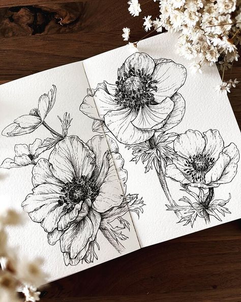 Anemones by Hiro Flower Pen Drawing, Drawings Of Flowers, Pen Art Work, Flower Drawings, Pen Art Drawings, Flower Art Drawing, Drawing Sketching, Floral Drawing, Botanical Drawings