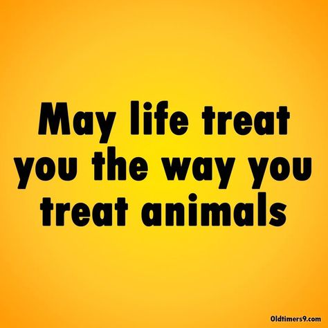 Animal Control Officer Quotes, Pet Owner Quotes, Unfair Quotes, Neglect Quotes, Veganism Quotes, Truthful Quotes, Barbie Dog, Change Your Life Quotes, Save Planet