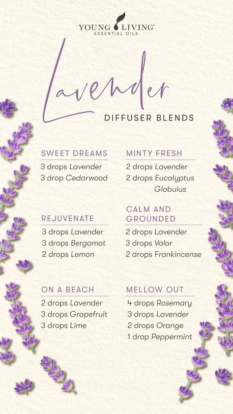 Take some time to yourself today and make your home smell fresh with these Lavender essential oil diffuser blends! Sweet Dreams (Lavender, Cedarwood), Minty Fresh (Lavender, Eucalyptus Globulus), Rejuvenate (Lavender, Bergamot, Lemon), Calm and Grounded (Lavender, Valor, Frankincense), On a Beach (Lavender, Grapefruit, Lime), and Mellow Out (Rosemary, Lavender, Orange, Peppermint). #spring #seasonal #cleanhome #ylathome #diffuserblend #essentialoils #aromatherapy #yleo #youngliving Essential Oil Candle Blends, Young Living Essential Oil Diffuser, Lavender Diffuser, Diffuser Blends Young Living, Essential Oil Perfumes Recipes, Essential Oil Combinations, Calming Essential Oils, Doterra Essential Oils Recipes, Essential Oil Diffuser Blends Recipes