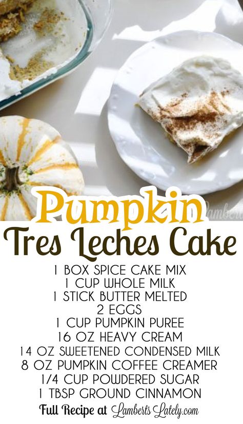 This recipe for Pumpkin Tres Leches Cake is so easy - made with boxed spice cake mix, coffee creamer, sweetened condensed milk, and other simple ingredients to make a perfect fall dessert! Pumpkin Tres Leches Cake Recipe, Pumpkin Tres Leches, Pumpkin Tres Leches Cake, Pumpkin Coffee Creamer, Tres Leches Cake Recipe, Pumpkin Spice Cake, Pumpkin Chai, Spice Cake Mix, Pumpkin Recipes Dessert