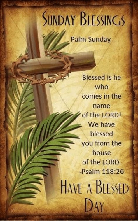 Palm Sunday Quotes Jesus, Palm Sunday Background, Palm Sunday Quotes, Happy Resurrection Sunday, Sunday Video, Happy Palm Sunday, Sunday Prayer, Sunday Pictures, Sunday Greetings