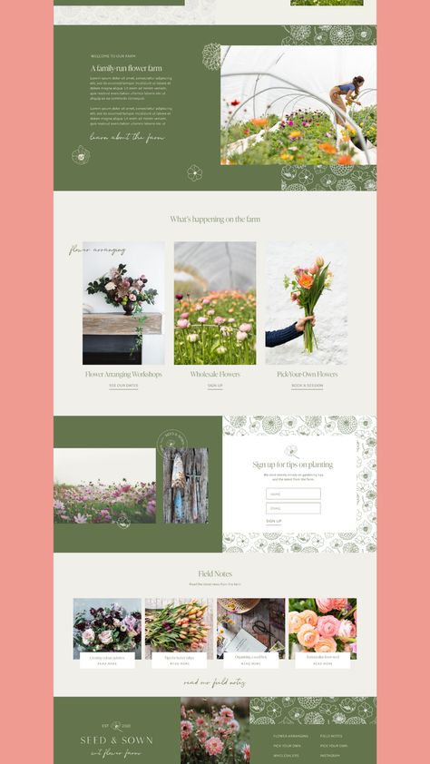 Nature, Floral Website Design Inspiration, Flower Website Design Inspiration, Flower Company Branding, Flowers Website Design, Hand Drawn Website Design, Florist Website Design Inspiration, Cottagecore Website Design, Flower Shop Website Design