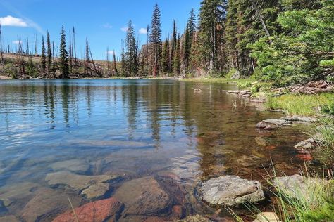 Seeley Lake Montana, Water Soluble Oil Paint, Lake Montana, Learn Acrylic Painting, Tips For Painting, Reflection Painting, Painting Water, Arte Grunge, Plein Air Landscape