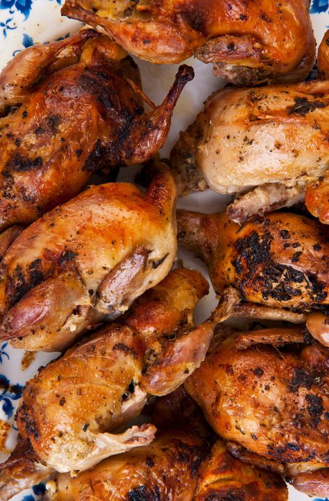 Quale Bird Recipes, Cooking Quail Meat, Recipes For Quail, Oven Baked Quail Recipes, Oven Roasted Quail, Easy Quail Recipes, Whole Quail Recipes, Quail Recipes Crockpot, Roasted Quail Recipes