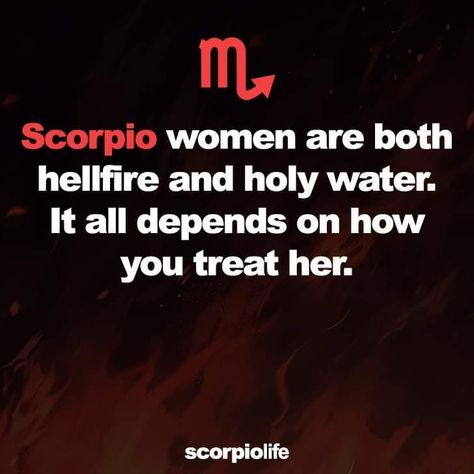 Scorpio Season Is Here, Scorpio Status, Celtic Zodiac Signs, Scorpio Queen, Celtic Zodiac, Zodiac Quotes Scorpio, Scorpio Art, Scorpio Traits, Scorpio Girl