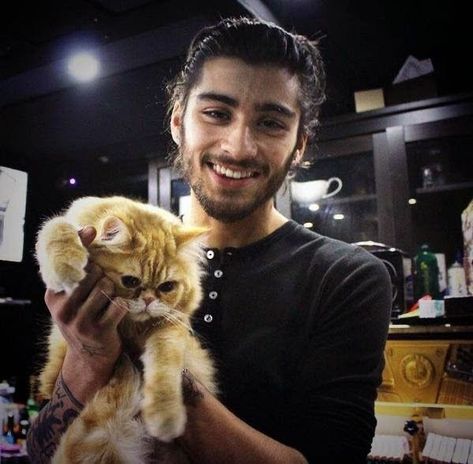 Adopting A Kitten, Bad Boys 3, Zayn Malik Style, Zayn Malik Photos, Zayn Malik Pics, Louis And Harry, One Direction Pictures, Kitten Adoption, Zayn Malik