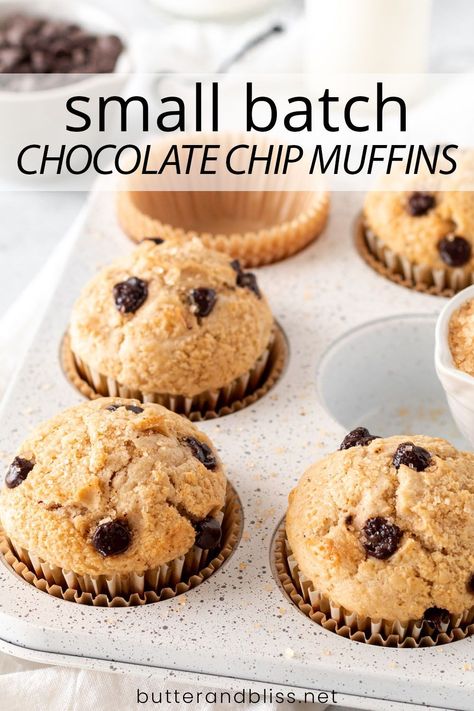 Small Batch Muffins Chocolate Chip, Chocolate Chip Muffins Small Batch, Small Batch Muffins Breakfast, Small Batch Mini Muffins, Small Batch Chocolate Chip Muffins, Small Batch Muffin Recipe, Frugal Desserts, Small Batch Muffins, Muffins Small Batch