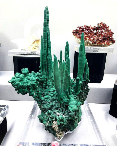 Yes, this is malachite #Gemstones #Minerals #Malachite Mineral Crystals, Minerals Crystals Rocks, Crystal Growth, Chakra Energy, Crystal Aesthetic, Earthworms, Pretty Rocks, Crystal Geode, Reference Pictures