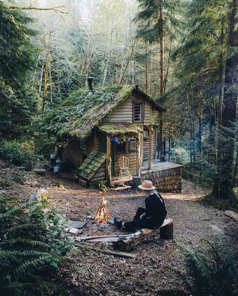 This cozy cottage surrounded by woods. Forest Cabin, Cottage In The Woods, A Cabin, Tiny House Cabin, Small Cabin, Cabins And Cottages, Forest House, Cabin Life, Decor Minimalist