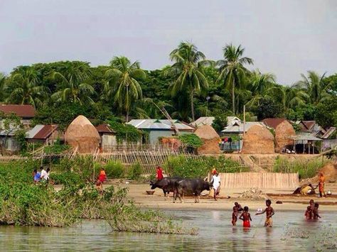 A village in Bangladesh. Bangladesh Village, International Mother Language Day, Nature Background Images, Village Photos, Village Photography, Indian Village, Image Nature, Painting Subjects, Brno