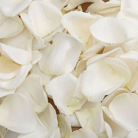 Vibrant White Rose Petals White Rose Petals, Fresh Rose Petals, Flower Confetti, Wholesale Roses, Red And White Roses, Fresh Flower Delivery, Red Rose Flower, Fresh Cut Flowers, Wholesale Flowers