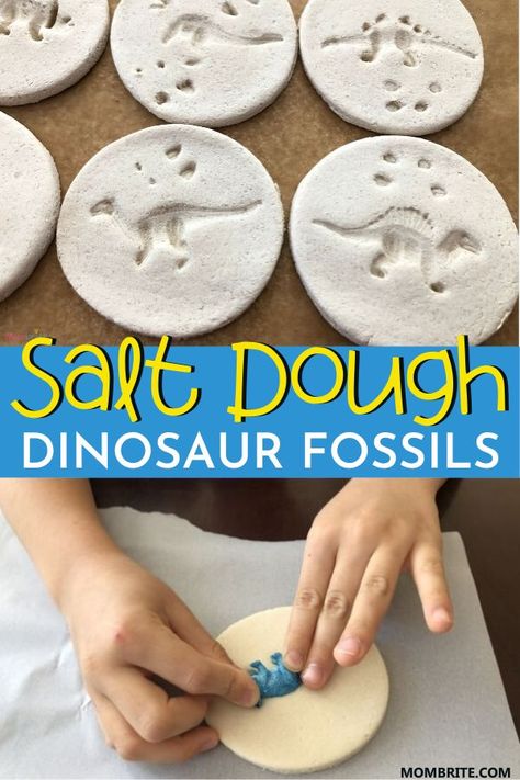 Fossil Activity, Toddler Entertainment, Dinosaur Crafts Kids, Kunst For Barn, Fossils Activities, Dinosaur Crafts Preschool, Dino Craft, Dinosaur Activity, Dinosaur Activities Preschool