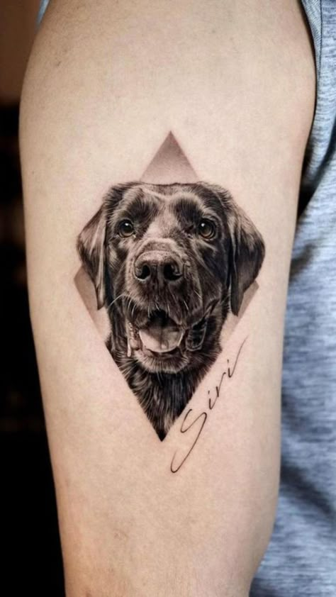 Tattoo Perro, Tatoo Dog, German Shepherd Tattoo, Pet Memorial Tattoo, Dog Portrait Tattoo, Realistisches Tattoo, Tribute Tattoos, Dog Memorial Tattoos, Tattoos Geometric