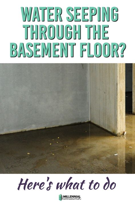 Water seeping up from the basement floor can be a pain and a big deal. Here is what is causing the water issue and what you can do to fix it. Leaky Basement Solutions, Basement Water Solutions, Flood Proof Basement, Sealing Basement Floor, How To Waterproof A Basement, Water In Basement Solutions, Basement Flooding Solutions, Wet Basement Floor Ideas, Basement Floor Drain Cover Ideas