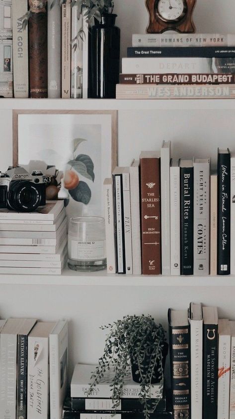 Books And Plants, Aesthetic Bookshelf, Fotocamere Vintage, Bookshelf Aesthetic, Dream House Aesthetic, Bookshelf Inspiration, Bookshelf Styling, Home Libraries, Coffee And Books