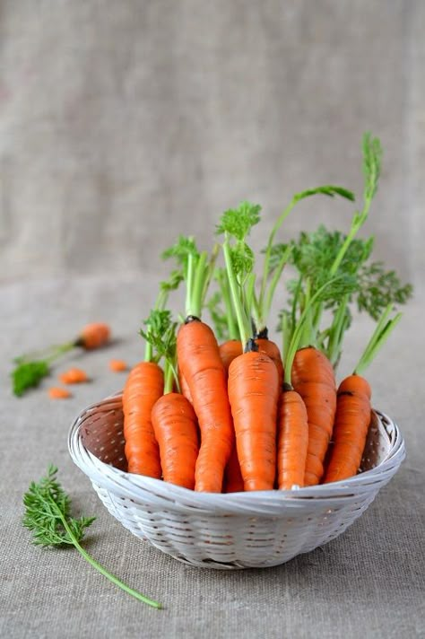 carrots Carrots Aesthetic, Carrot Photography, Orange Vegetables, Carrot Gardening, Vegetables Photography, Vegetable Illustration, Food Art Photography, Carrot Seeds, Macro Meals