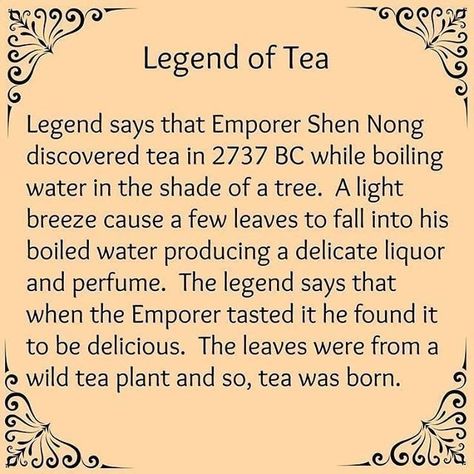 Tea Facts, Tea Puns, Books And Tea, Tea History, Tea Quotes, Tea And Books, Cuppa Tea, Afternoon Tea Parties, Steeped Tea