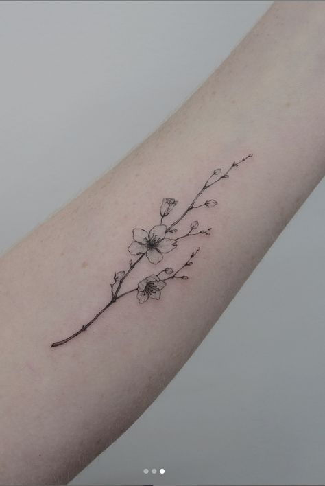 Small Floral Tattoo Blossom Branch Tattoo, Cherry Blossom Branch Tattoo, Small Floral Tattoo, Cherry Blossom Tattoos, Sakura Tattoo, Cherry Tattoos, Lavender Tattoo, Branch Tattoo, Single Needle Tattoo