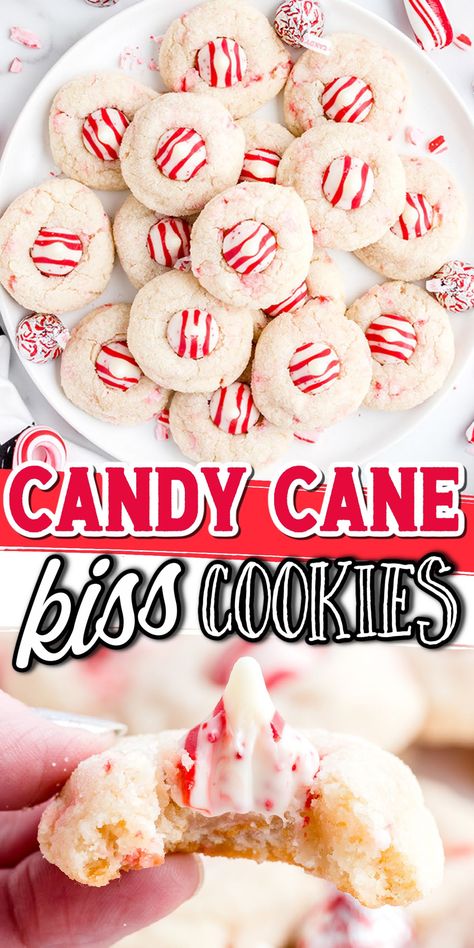 Easy Peanut Butter Cookies With Kisses, Sandtart Cookies Recipe, December Treats, Peppermint Cookies Recipe, Candy Cane Kiss Cookies, Favorite Christmas Cookies, Candy Cane Recipe, Cupcake Christmas, Peppermint Recipes