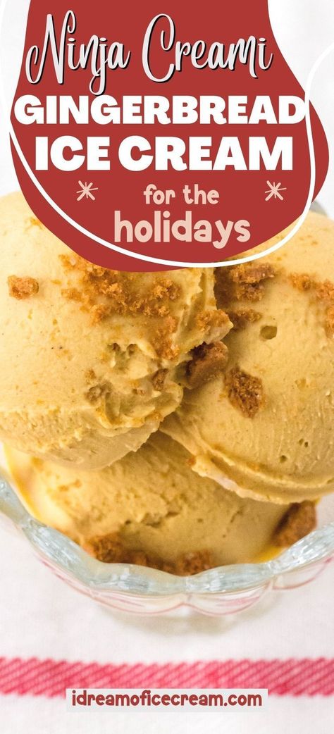 Christmas Ice Cream Recipes, Christmas Ice Cream Desserts, Gingerbread Cookies Easy, Gingerbread Ice Cream, Caramel Ice Cream Recipe, Ice Cream Dessert Recipe, Ninja Ice Cream Recipe, Easy Dessert Recipes Christmas, Christmas Ice Cream