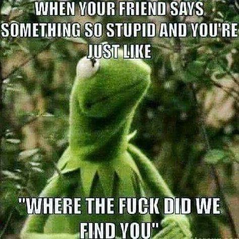 Funny Kermit Memes, Sarcastic People, Sarcastic Memes, Jokes For Teens, Kermit Funny, Super Funny Memes, Super Funny Quotes, Memes Sarcastic, Sarcastic Quotes Funny