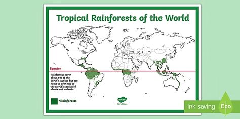 Rainforest Map, Rainforest Theme, Rainforest Plants, The World Map, Science Topics, Descriptive Words, Earth Surface, Reference Sheet, Free Teaching Resources