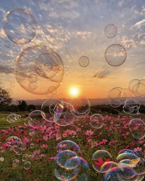 숲 사진, Indie Cottagecore, Landscape Sky, Bubbles Wallpaper, Slow Travel, Beautiful Landscape Wallpaper, Your Amazing, Beach Landscape, Sunset Beach