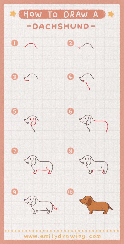 How To Draw A Dachshund Step By Step, How To Draw A Dachshund, Cute Dachshund Drawings, Living Cheap, Super Easy Drawings, Dachshund Drawing, Dachshund Painting, Easy Animal Drawings, School Recipes