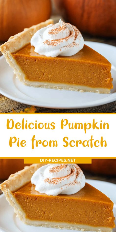 Try this Delicious Pumpkin Pie made from scratch! A creamy, spiced filling that’s perfect for Thanksgiving or any fall occasion. Roast Pumpkin For Pie, Pumpkin Pie Recipe With Pumpkin Spice, Fresh Pumpkin Pie Filling, Scratch Pumpkin Pie Recipe, Pumpkin Pie Scratch, Sugar Pie Pumpkin Recipes, Pumpkin Pie Filling Recipe From Scratch, Pumpkin Pie From Fresh Pumpkin, Pumpkin Pie From Real Pumpkin