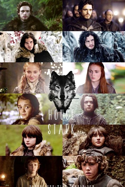 Stark Kids Then & Now Rickon Stark, Stark Children, Stark Family, Tv Scenes, Game Of Thrones 3, Game Of Thrones Tv, Got Game Of Thrones, I Love Games, House Stark