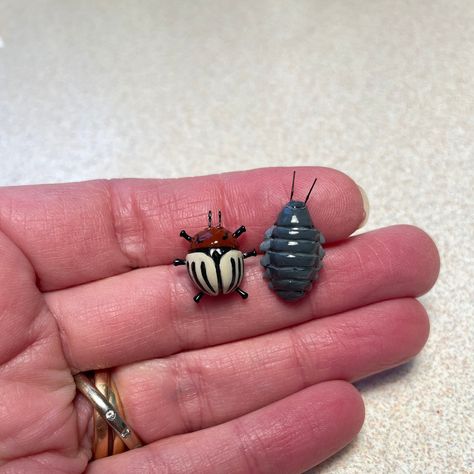 Isopod Terrarium, Cool Earrings Unique, Terrarium Pets, Clay Bugs, Insect Earrings, Bug Earrings, Bug Jewelry, Whimsical Gifts, Insect Jewelry