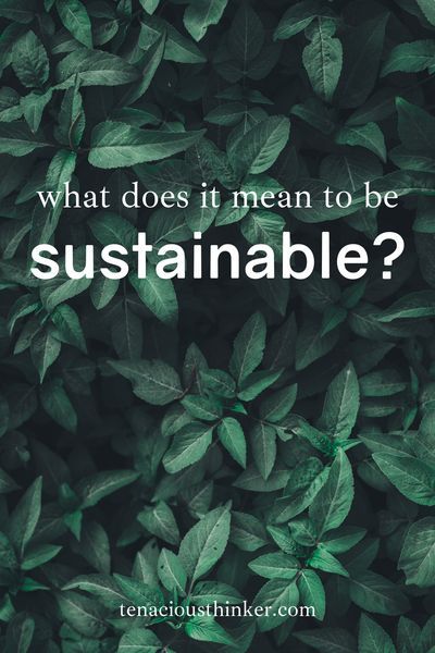 This introduction to sustainability talks about the history of the environmental movement, the impacts of industry on the environment and people, and ways to minimize our impacts on the environment. Many people are focusing on living more sustainably and eco-friendly. Did you know you can use minimalism to fast-track your environmentally conscious lifestyle?  #environmentalist #Environmentalism #ecoconscious #EcoLiving #EcoFriendly #ecolife #ecolifestyle #ecoblogger #greenliving #ecominimalism Environmental Quotes, Environmentally Friendly Living, Conscious Lifestyle, Environmental Movement, Eco Life, Eco Lifestyle, Marketing Instagram, Conscious Living, Work Diy