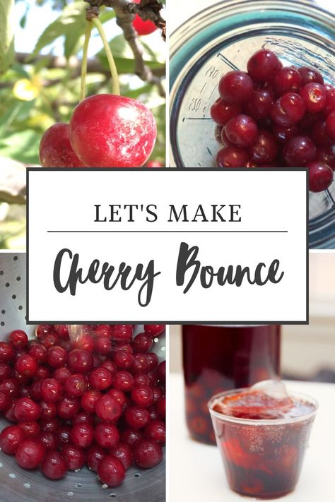 Cherry Concentrate Recipes, Cherry Bounce With Vodka, Cherry Christmas Cocktail, Cherry Bounce Recipe With Honey, Cherry Bounce Cocktail, Cherry Bounce Recipe Whiskey, Liquor Cherries, Cherry Alcoholic Drinks, Cherry Bounce Moonshine Recipe