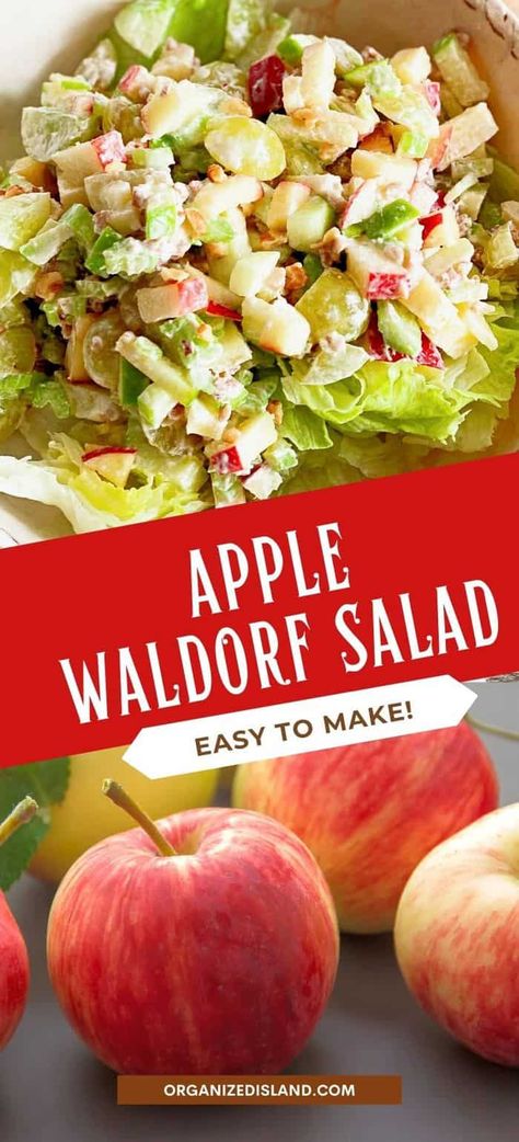 Apple Grape Salad Recipe, Best Waldorf Salad Recipe, Apple Waldorf Salad, Easy Waldorf Salad, Festive Fruit Salad, Apples And Grapes, Grape Salad Recipe, Waldorf Salad Recipe, Apple Salad Recipes