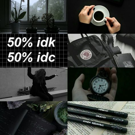 INTP/Aquarius/Slytherin Thinker Aesthetic, Entp Core, Intp Core, Black Cat Energy, Istp Personality, Types Of Psychology, Cat Energy, Calm Life, W Quotes