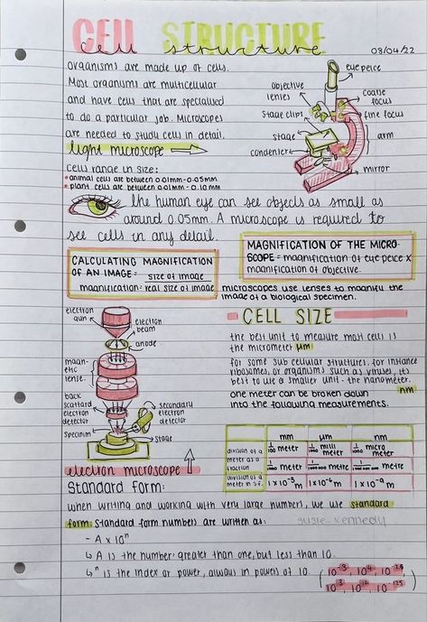 Cell Structure Notes, Science Aesthetic Notes, Gcse Science Revision, Duck Phone Case, Gcse Biology, Biochemistry Notes, Science Aesthetic, Learn Biology, Science Revision