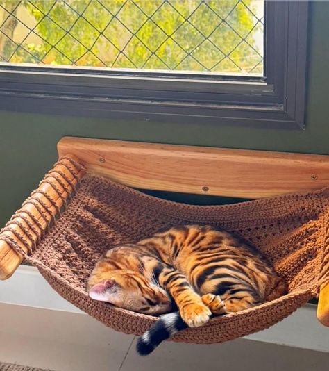 Homemade Kitten Toys, Diy Cat Enrichment Toys, Crochet Cat Hammock Free Pattern, Cat Things Products, Aesthetic Cat Stuff, Cat Room Ideas Diy, Cat Hangout, Crochet Cat Hammock, Cat Interior Design