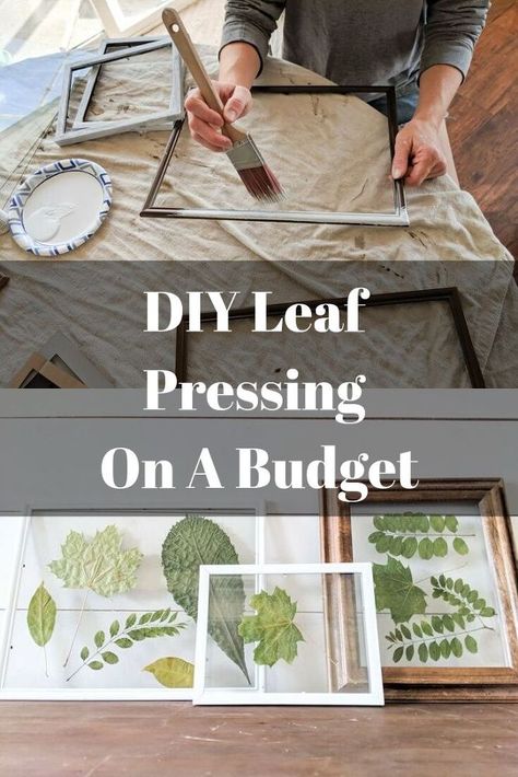 Leaf Pressing, Dollar Store Fall Decor, Seasonal Artwork, Dollar Store Home Decor, Leaf Art Diy, Wall Entryway, Diy Leaves, Pressed Flower Crafts, Pressed Leaves