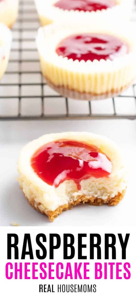 Party Cheesecake, Raspberry Bites, Spaghetti Eis Dessert, Cheesecake Raspberry, Raspberry Cheesecake Bites, Valentines Desserts, Cheesecake Bites Recipe, Easy No Bake Cheesecake, Mini Cheesecake Recipes