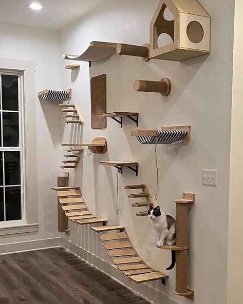 House Ladder, Cat Bridge, Cat Climbing Shelves, Cat Climbing Wall, Wooden Cat Tree, Cat Climber, Cat Gym, Cat Patio, Cat Wall Shelves