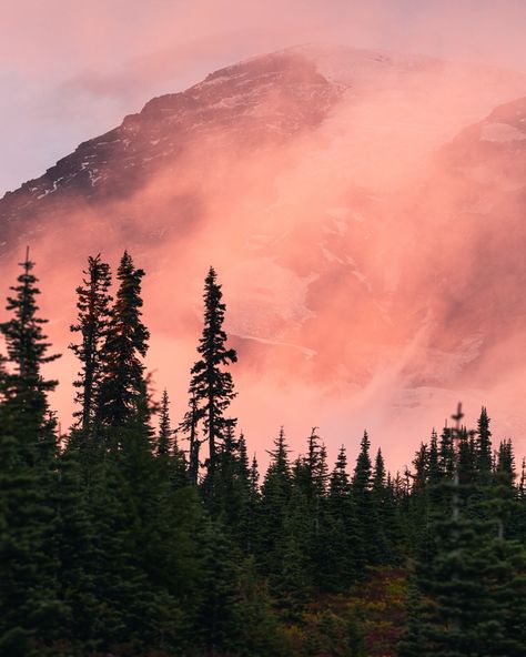 These truly may be some of my favorite pictures I’ve ever taken. Always always always stay for the sunset 🥹🌞💕☁️ . #pnw #pnwonderland #pnwphotographer #landscapephotography #hikingadventures #seattle #tahoma G Adventures, The Sunset, Landscape Photography, Seattle, My Favorite, Photographer, Quick Saves