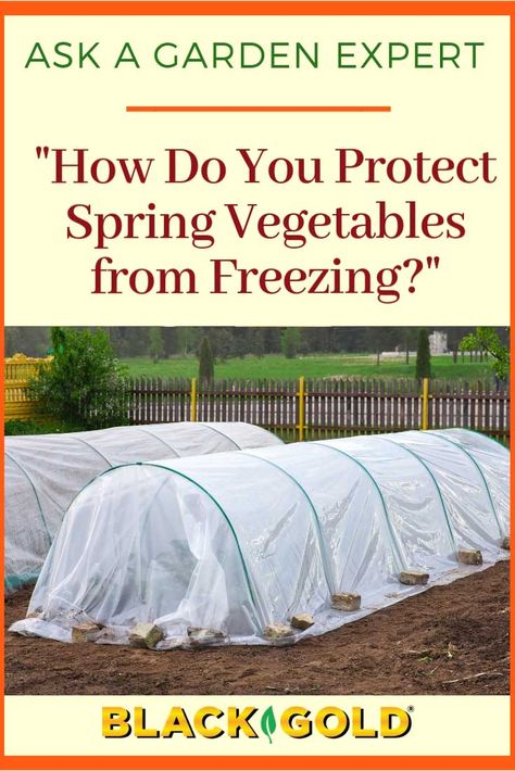 Covering Plants For Freeze, Cover Plants For Freeze, Garden Knowledge, Garden Protection, Tomato Cages, Farm Ideas, Plant Covers, Longwood Gardens, Spring Vegetables